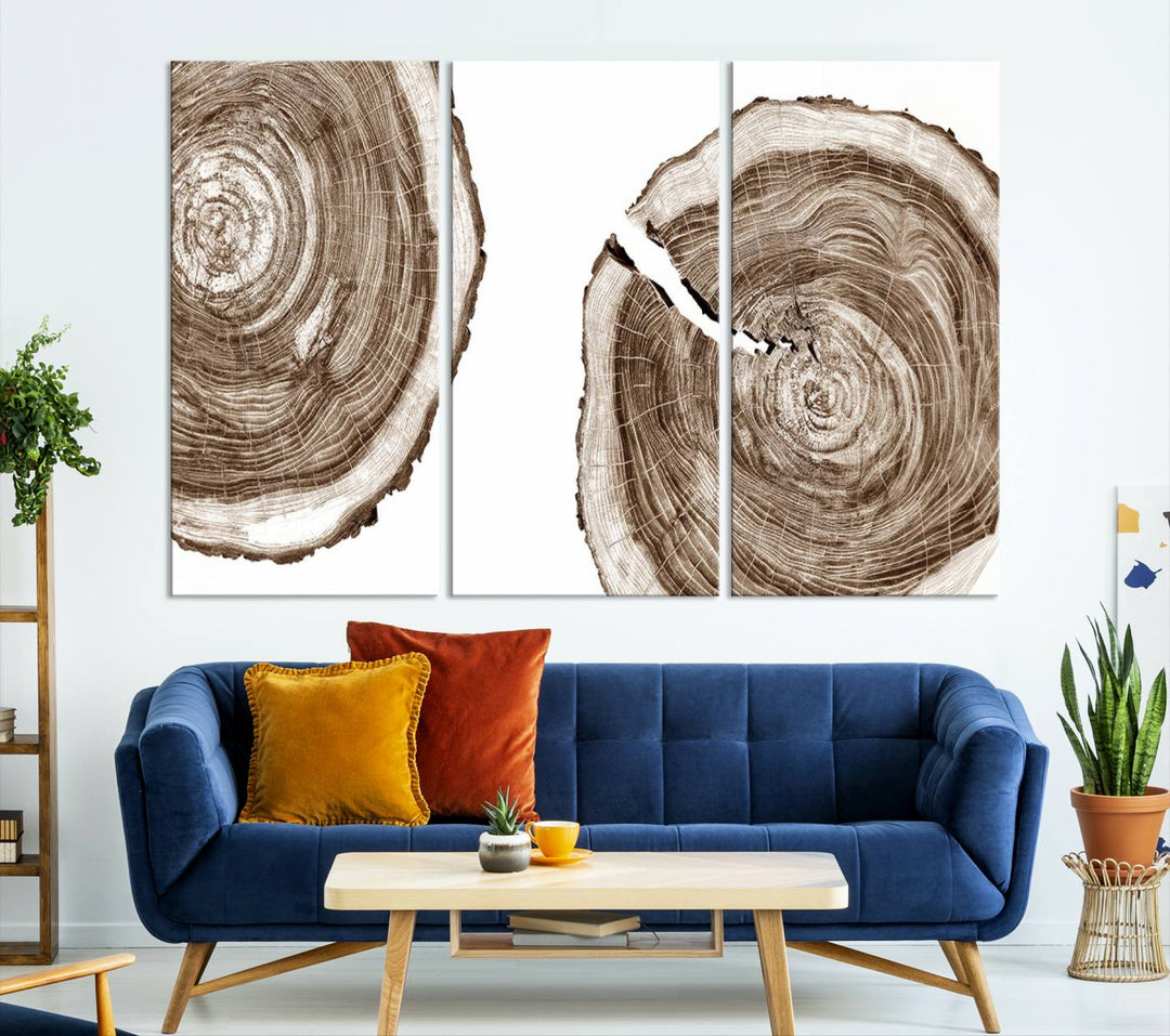 Wood Tree Ring Wall Art Canvas Prints, Lake House and Farmhouse Wall Art Print