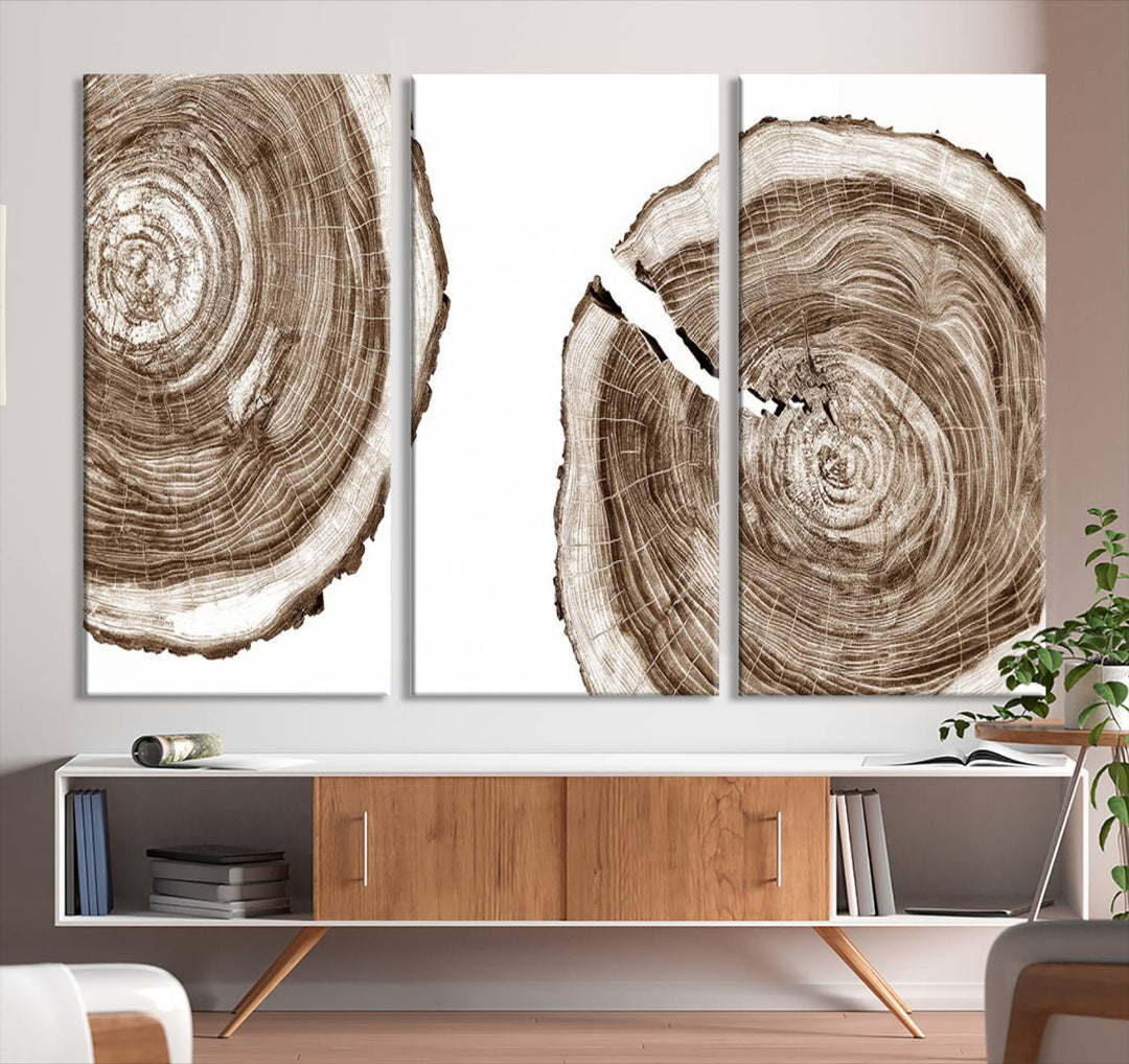 Wood Tree Ring Wall Art Canvas Prints, Lake House and Farmhouse Wall Art Print