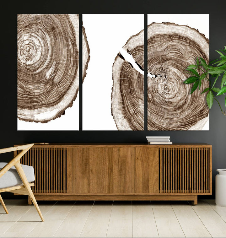 Wood Tree Ring Wall Art Canvas Prints, Lake House and Farmhouse Wall Art Print