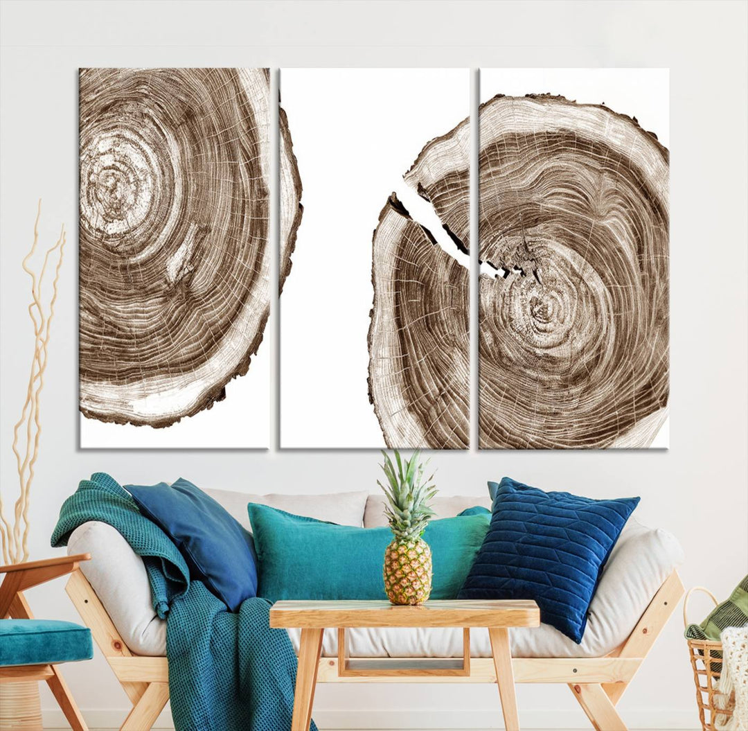 Wood Tree Ring Wall Art Canvas Prints, Lake House and Farmhouse Wall Art Print