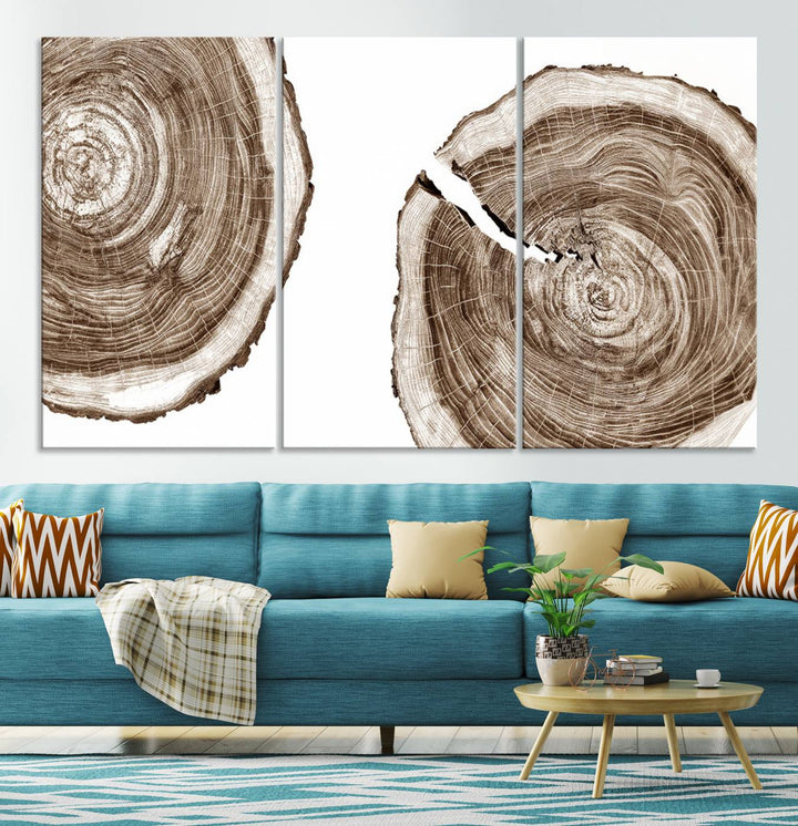 Wood Tree Ring Wall Art Canvas Prints, Lake House and Farmhouse Wall Art Print