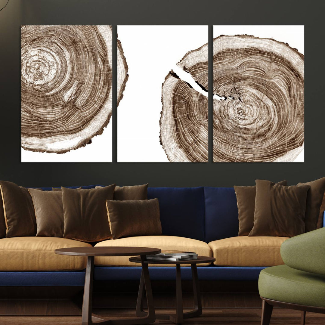 Wood Tree Ring Wall Art Canvas Prints, Lake House and Farmhouse Wall Art Print