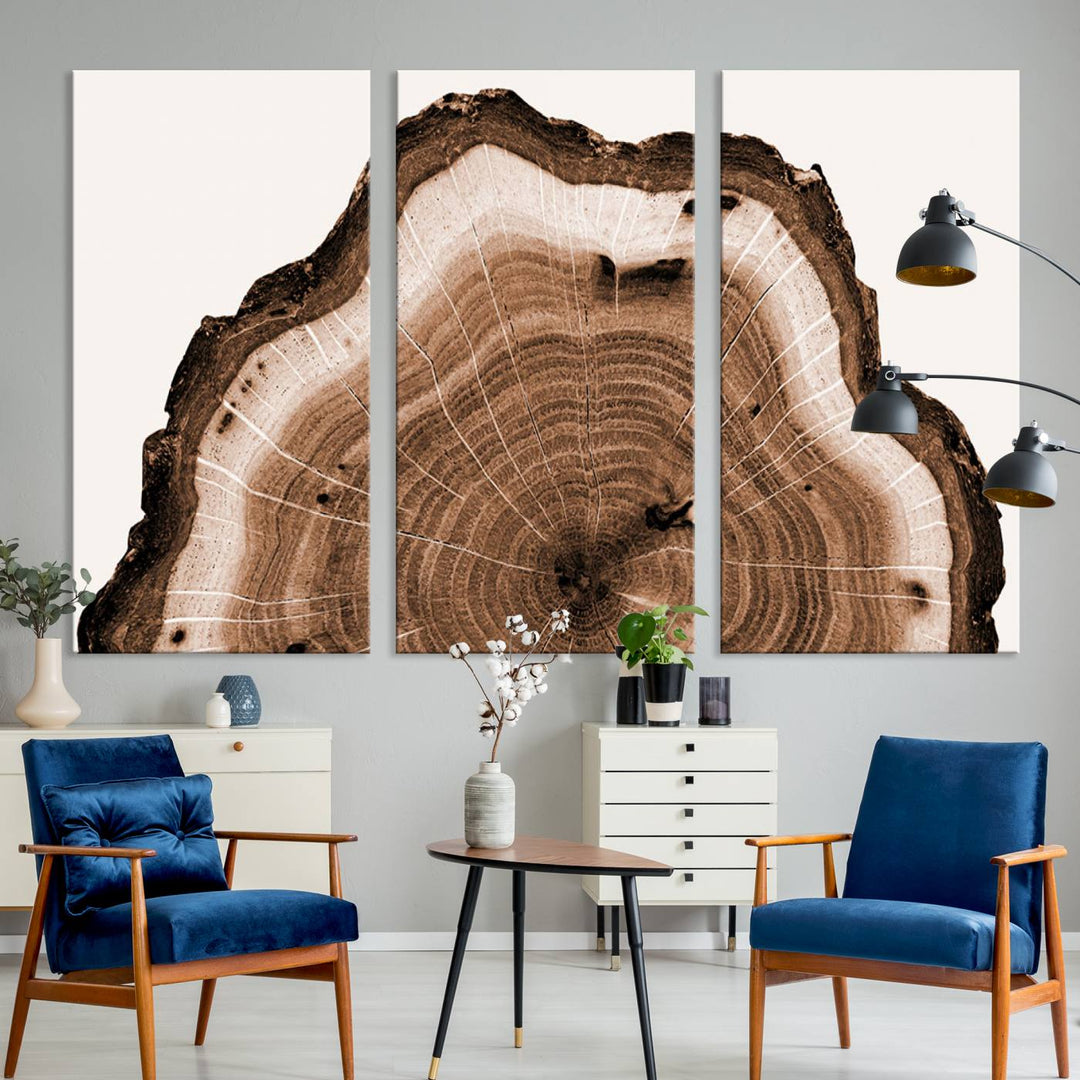 Wood Tree Rings Abstract Wall Art Canvas Print