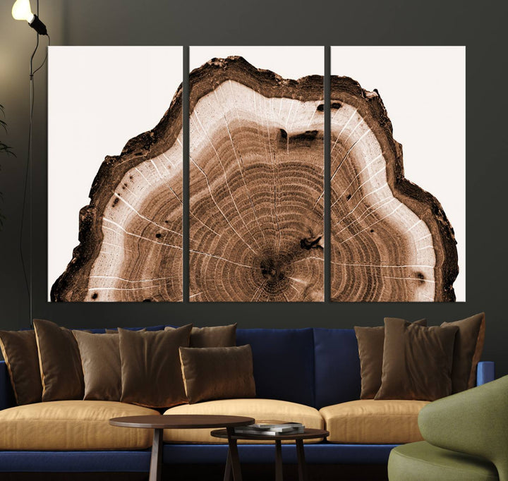 Wood Tree Rings Abstract Wall Art Canvas Print