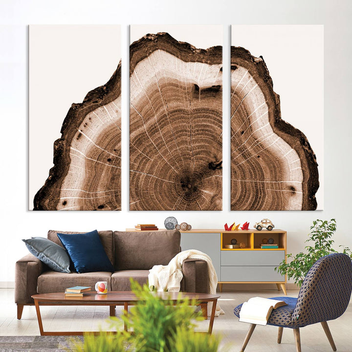 Wood Tree Rings Abstract Wall Art Canvas Print