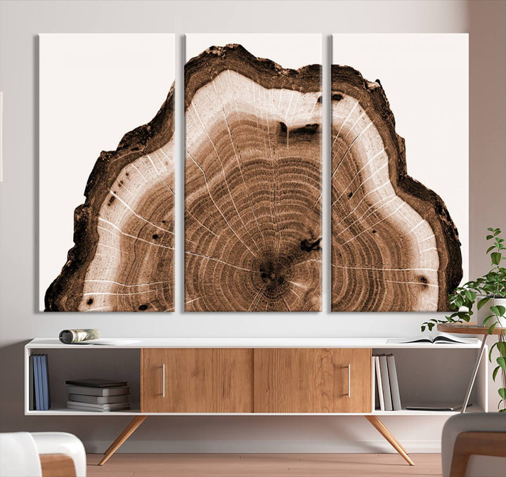 Wood Tree Rings Abstract Wall Art Canvas Print