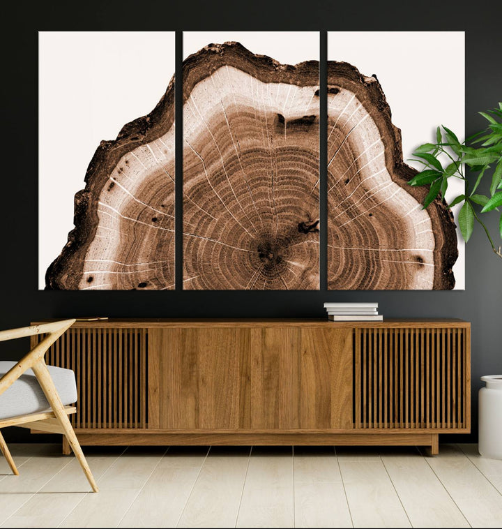 Wood Tree Rings Abstract Wall Art Canvas Print