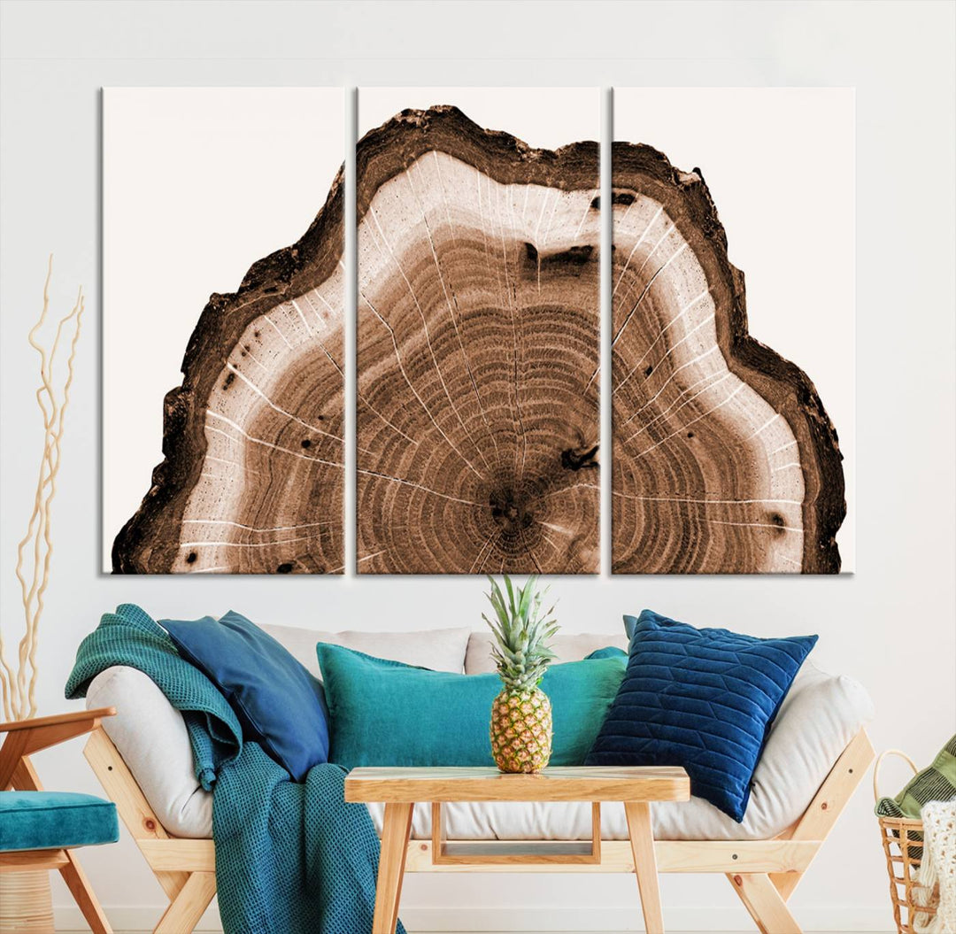 Wood Tree Rings Abstract Wall Art Canvas Print