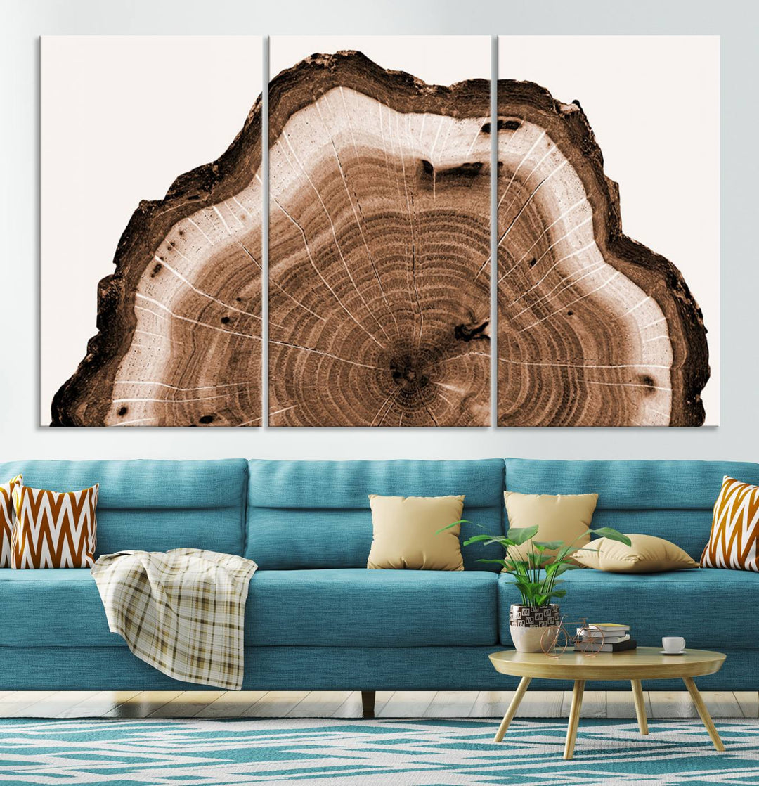 Wood Tree Rings Abstract Wall Art Canvas Print