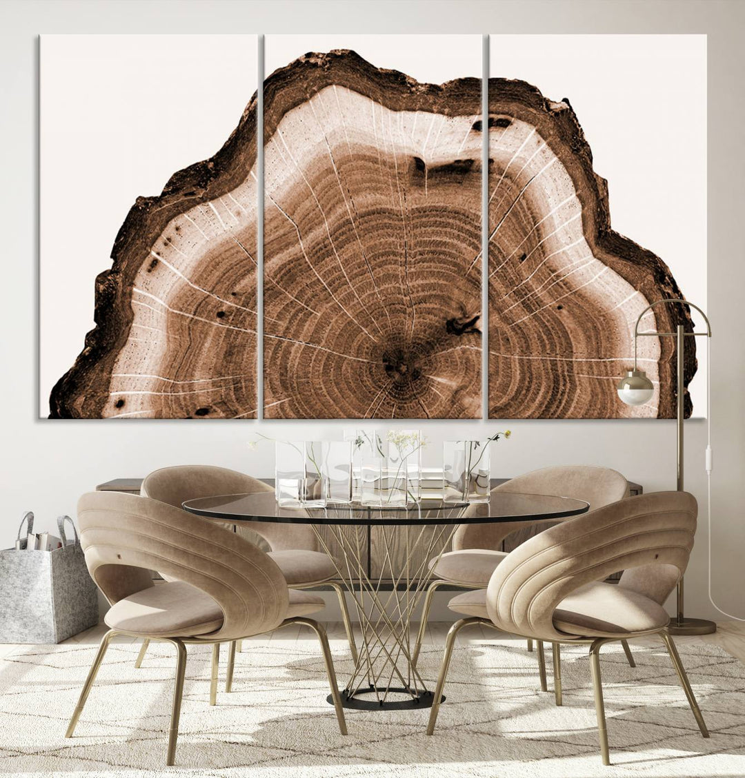 Wood Tree Rings Abstract Wall Art Canvas Print