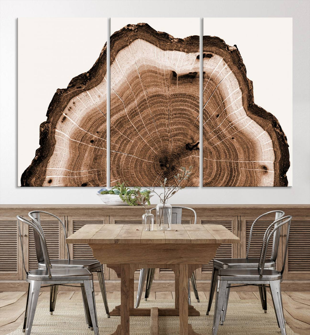 Wood Tree Rings Abstract Wall Art Canvas Print