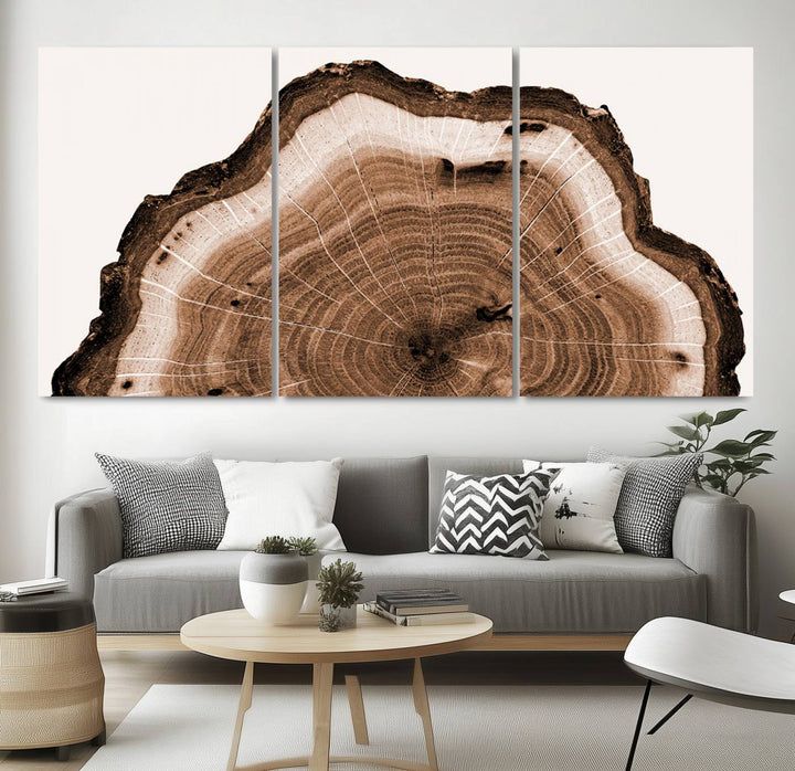 Wood Tree Rings Abstract Wall Art Canvas Print