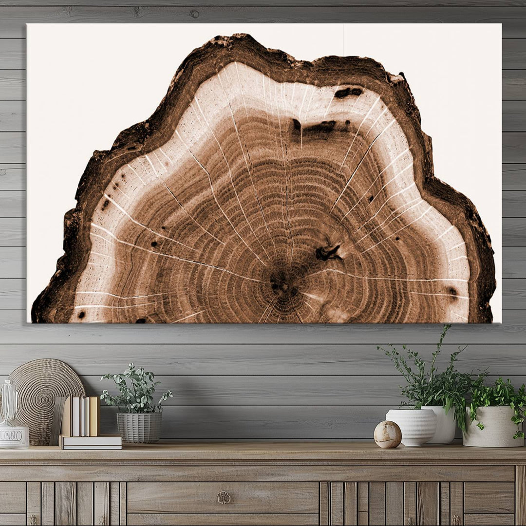 Wood Tree Rings Abstract Wall Art Canvas Print