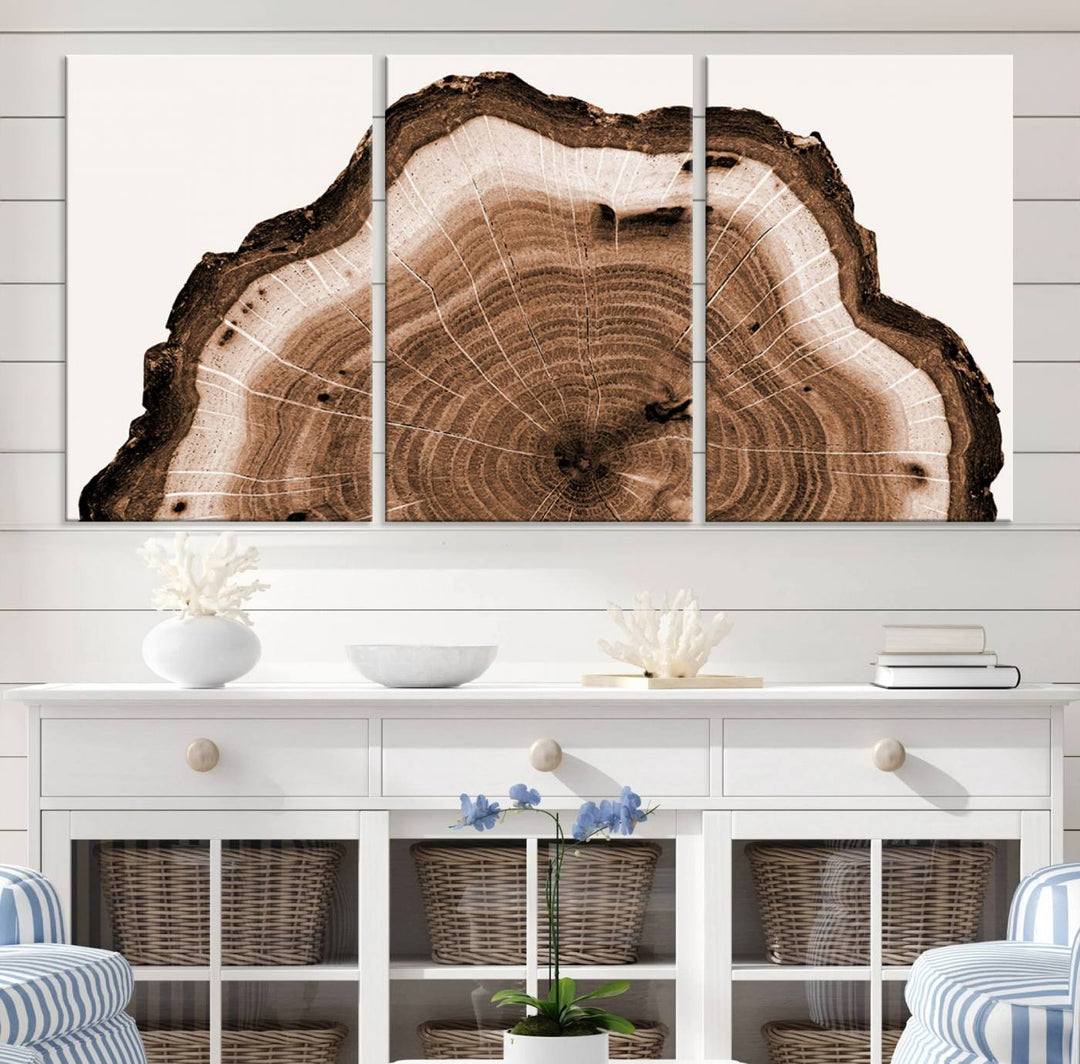 Wood Tree Rings Abstract Wall Art Canvas Print