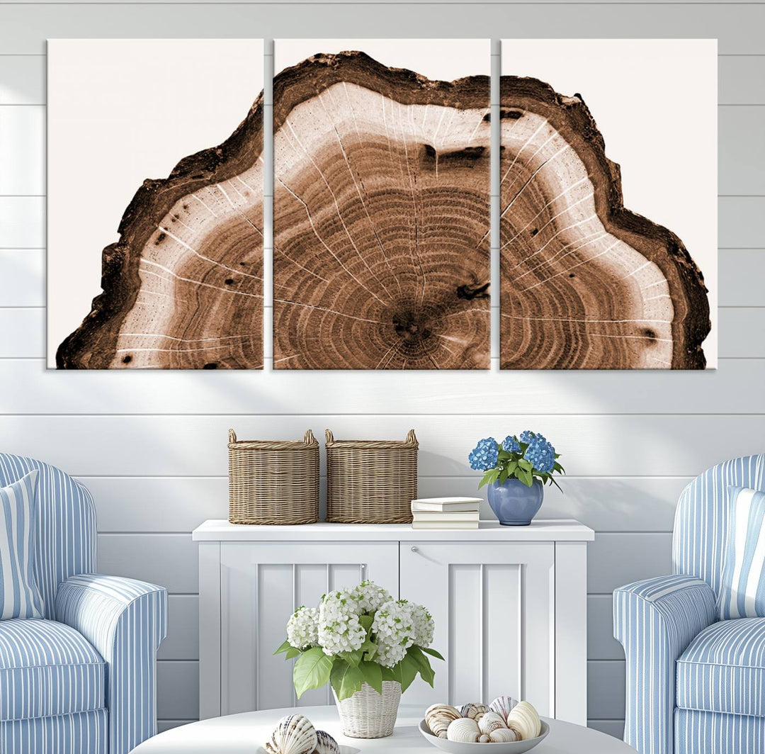 Wood Tree Rings Abstract Wall Art Canvas Print