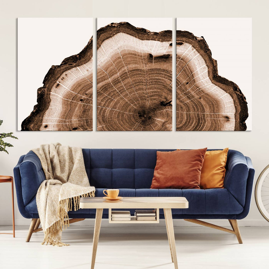 Wood Tree Rings Abstract Wall Art Canvas Print