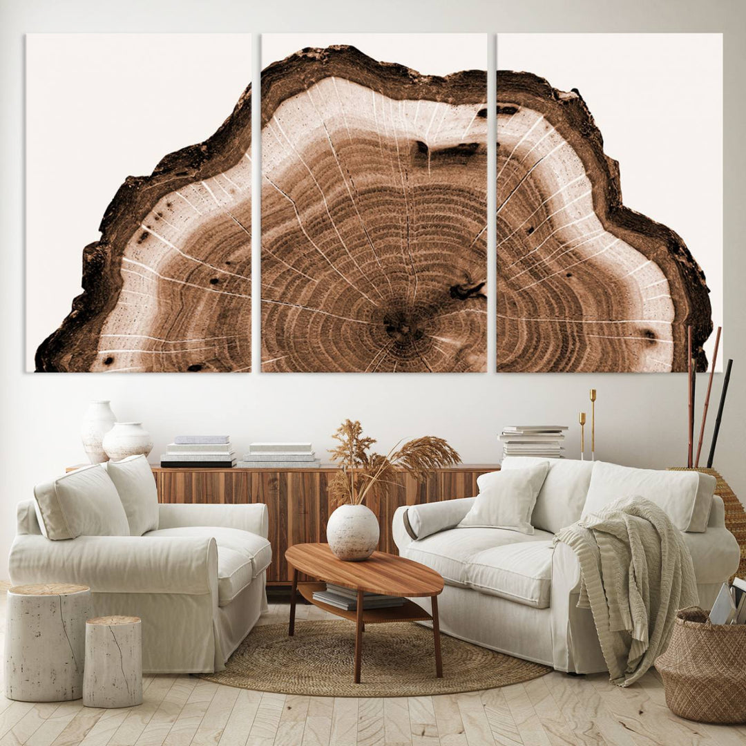 Wood Tree Rings Abstract Wall Art Canvas Print