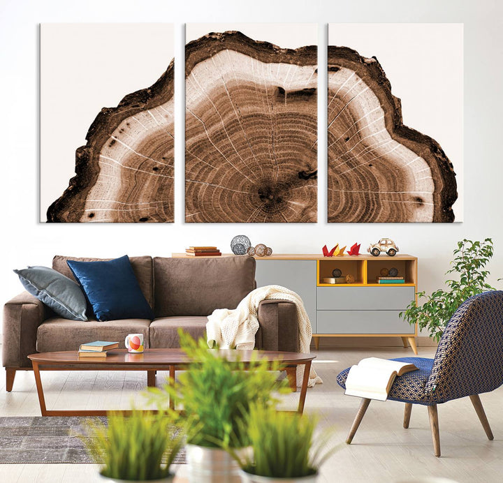 Wood Tree Rings Abstract Wall Art Canvas Print