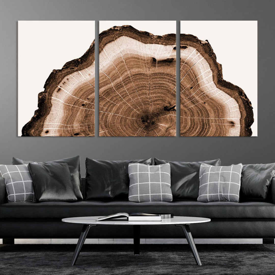 Wood Tree Rings Abstract Wall Art Canvas Print