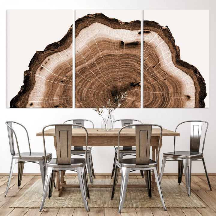 Wood Tree Rings Abstract Wall Art Canvas Print