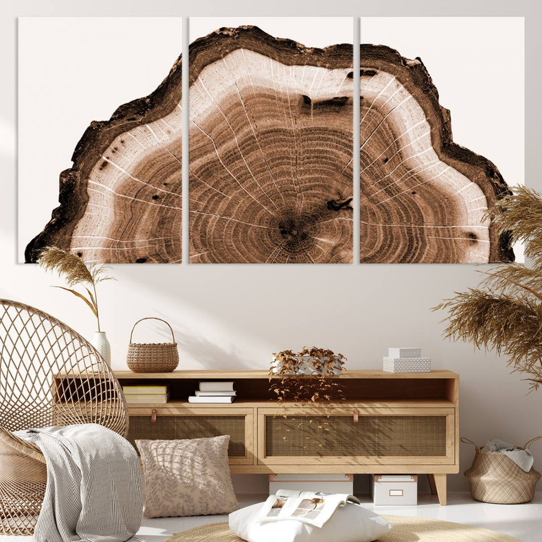 Wood Tree Rings Abstract Wall Art Canvas Print