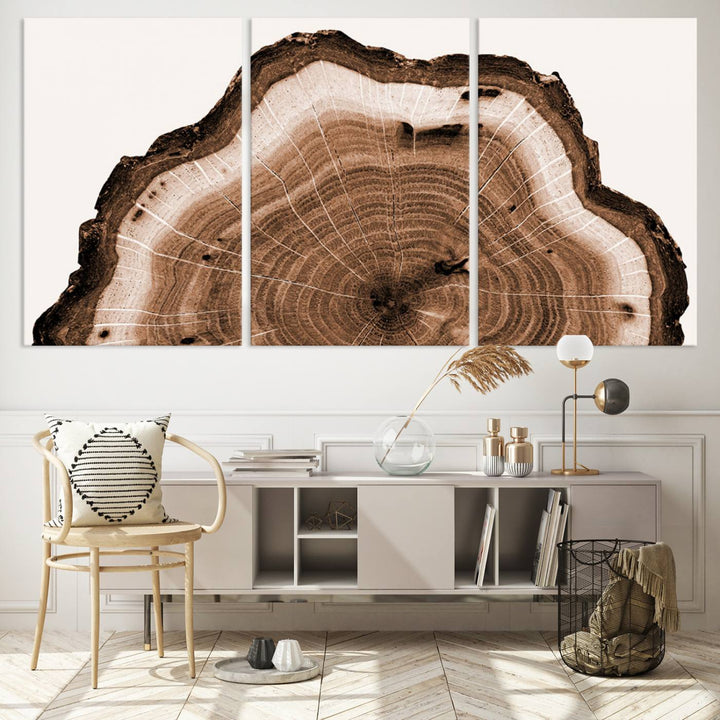 Wood Tree Rings Abstract Wall Art Canvas Print