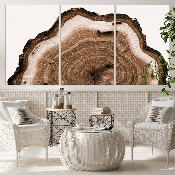 Wood Tree Rings Abstract Wall Art Canvas Print