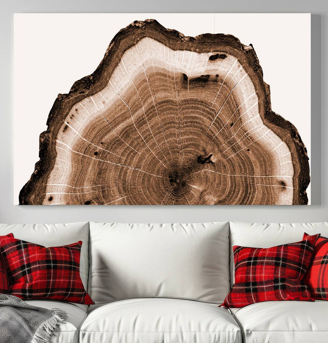 Wood Tree Rings Abstract Wall Art Canvas Print