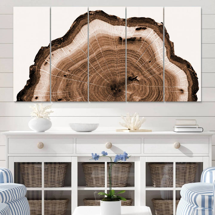 Wood Tree Rings Abstract Wall Art Canvas Print