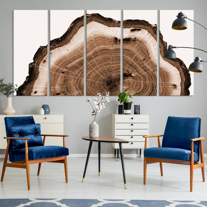 Wood Tree Rings Abstract Wall Art Canvas Print