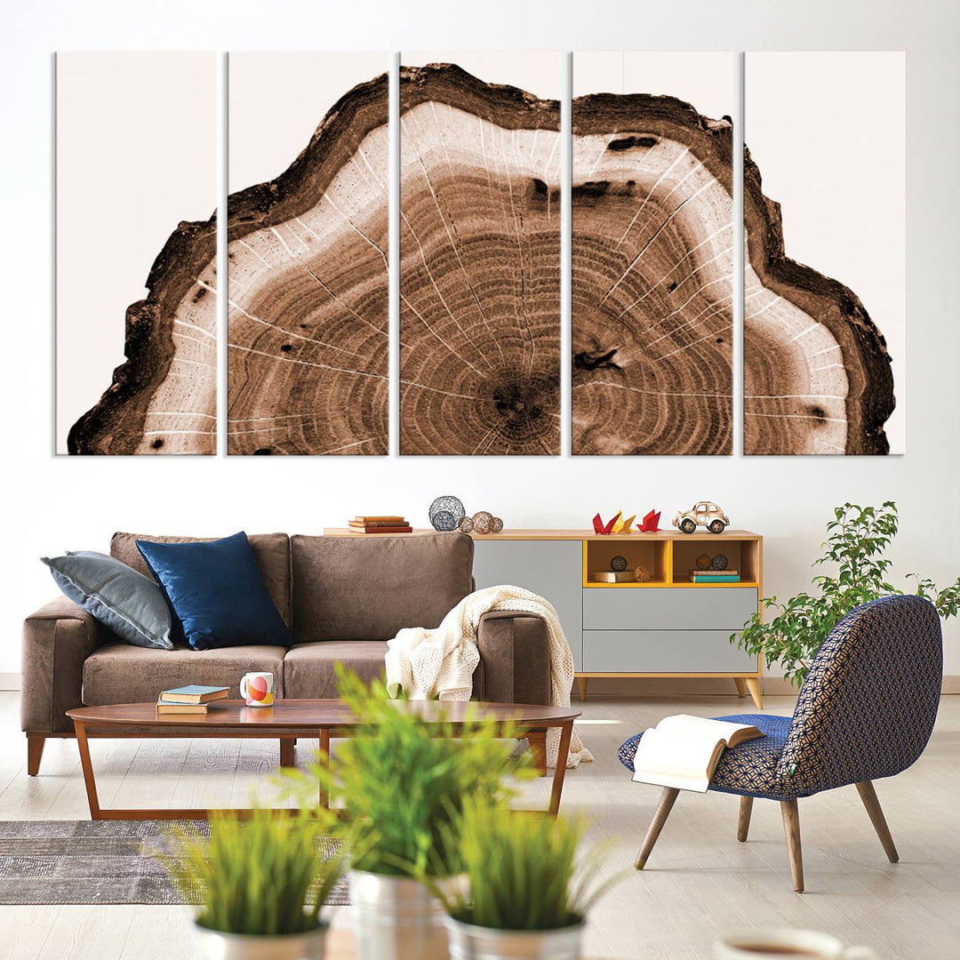 Wood Tree Rings Abstract Wall Art Canvas Print