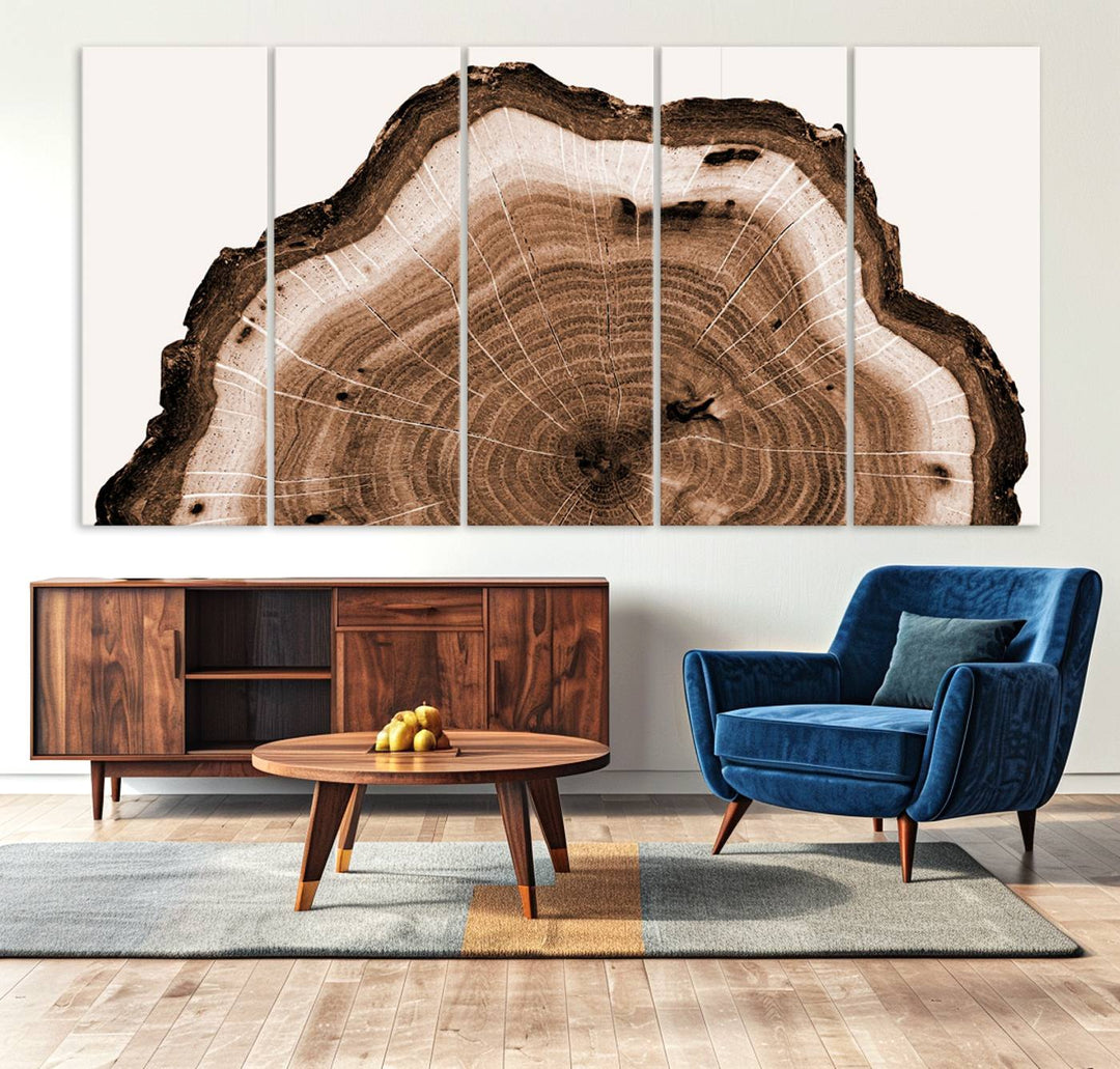 Wood Tree Rings Abstract Wall Art Canvas Print