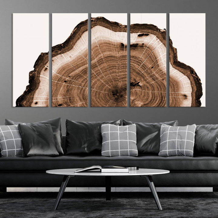 Wood Tree Rings Abstract Wall Art Canvas Print