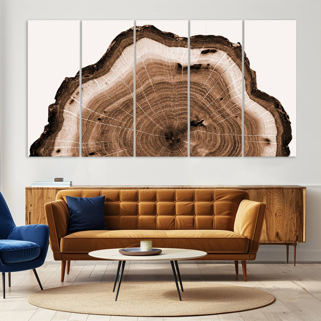 Wood Tree Rings Abstract Wall Art Canvas Print