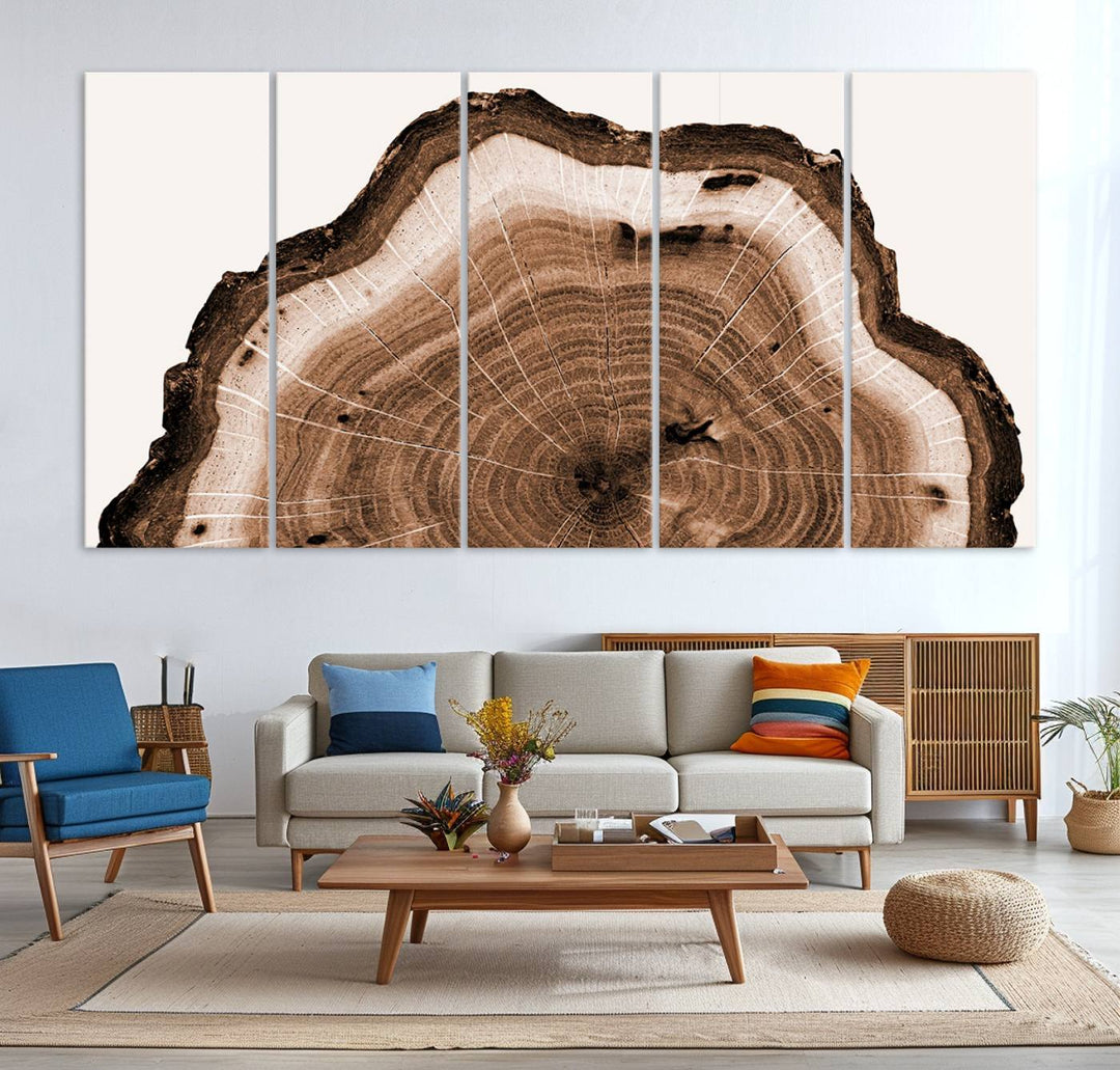 Wood Tree Rings Abstract Wall Art Canvas Print