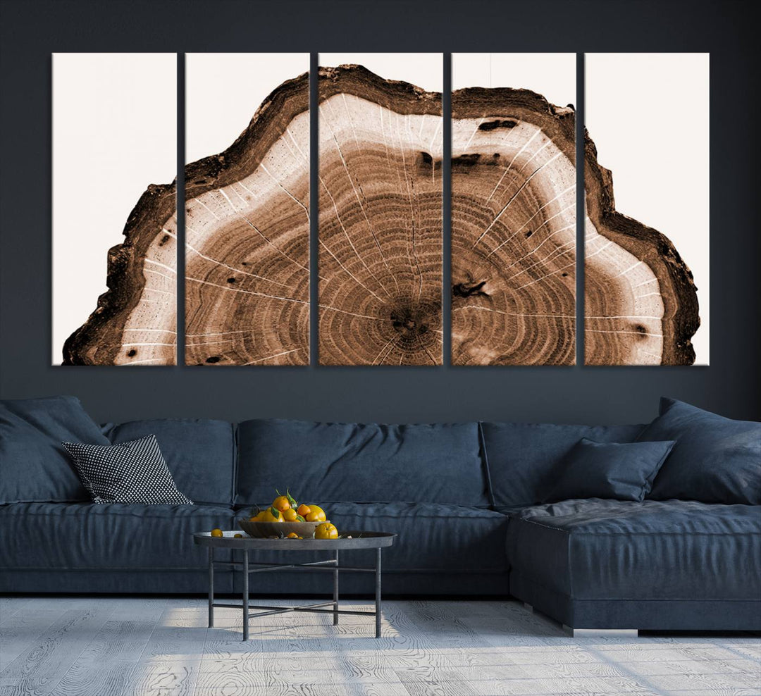 Wood Tree Rings Abstract Wall Art Canvas Print