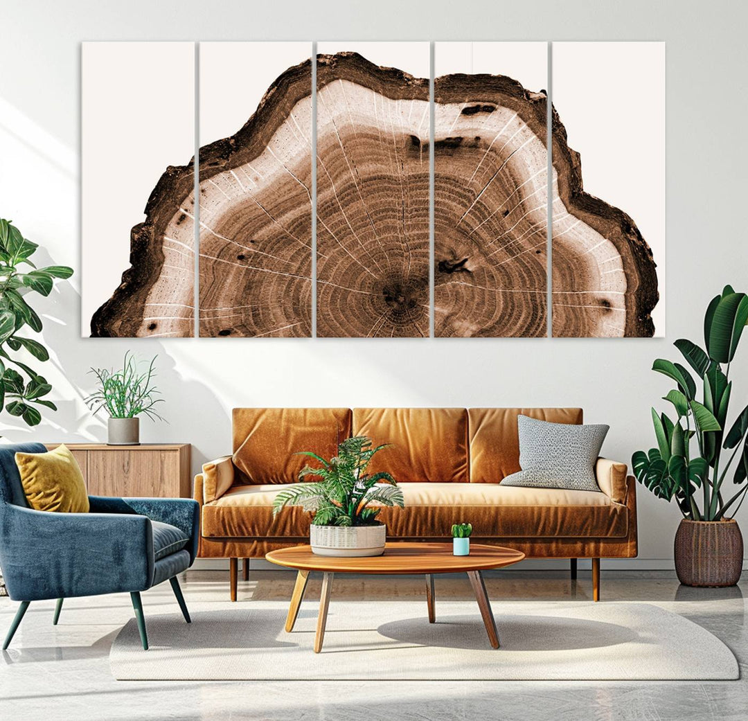 Wood Tree Rings Abstract Wall Art Canvas Print