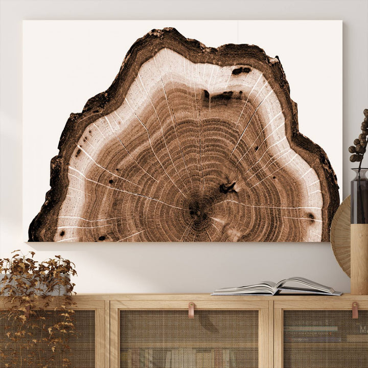 Wood Tree Rings Abstract Wall Art Canvas Print