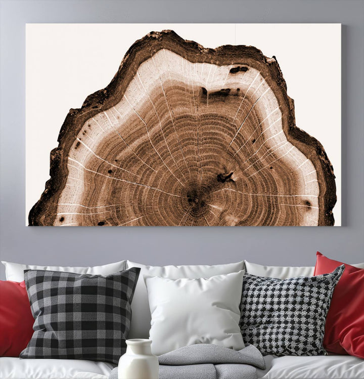 Wood Tree Rings Abstract Wall Art Canvas Print