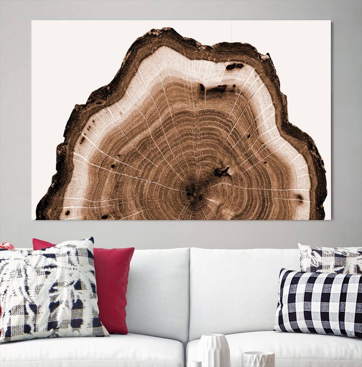 Wood Tree Rings Abstract Wall Art Canvas Print