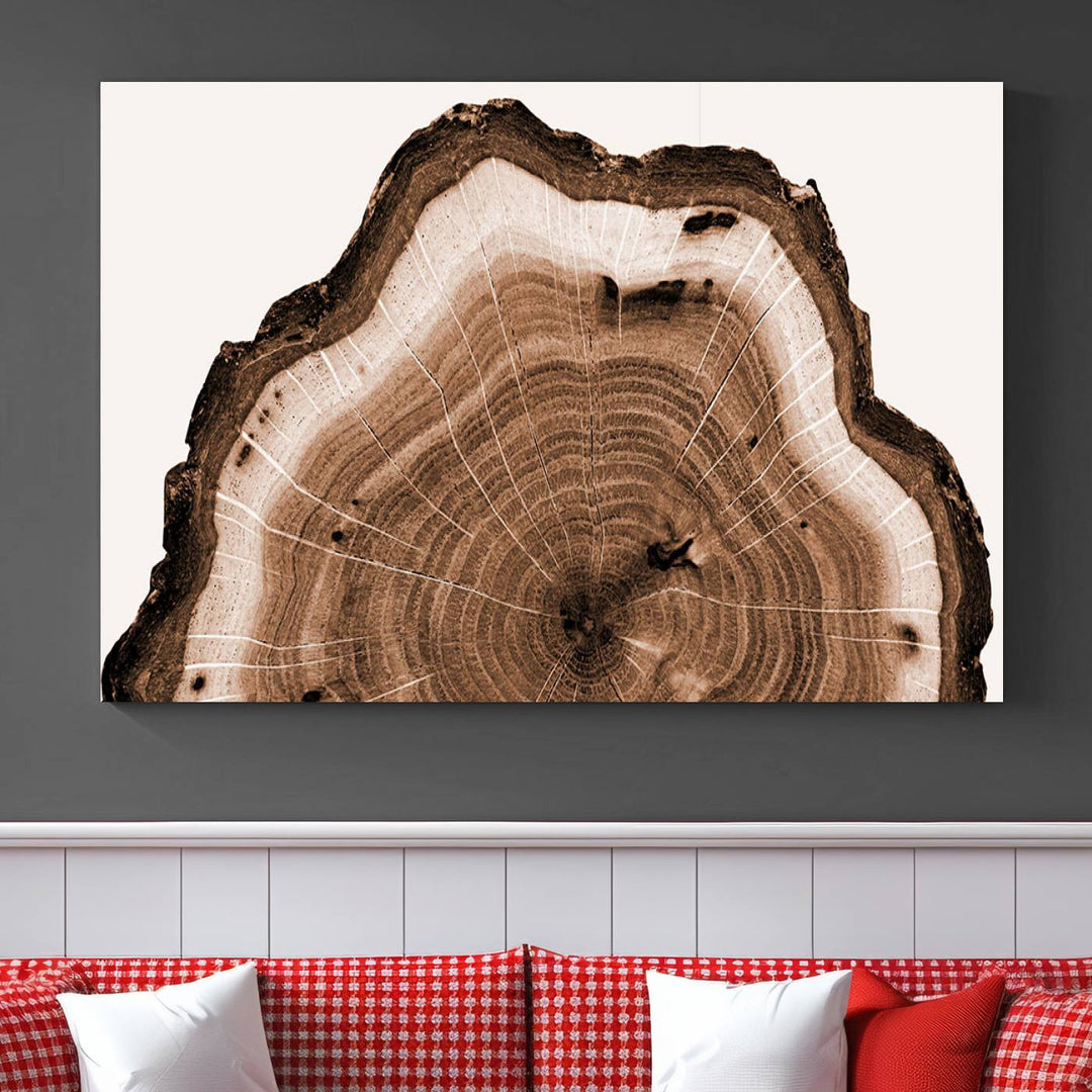 Wood Tree Rings Abstract Wall Art Canvas Print