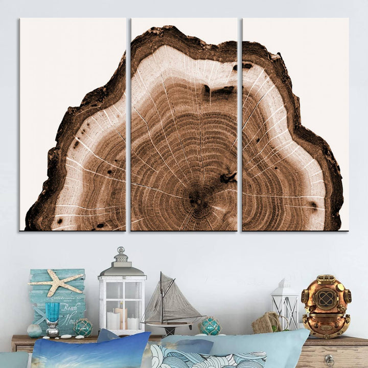 Wood Tree Rings Abstract Wall Art Canvas Print