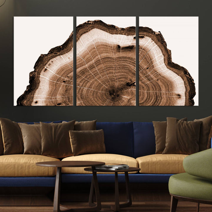 Wood Tree Rings Abstract Wall Art Canvas Print