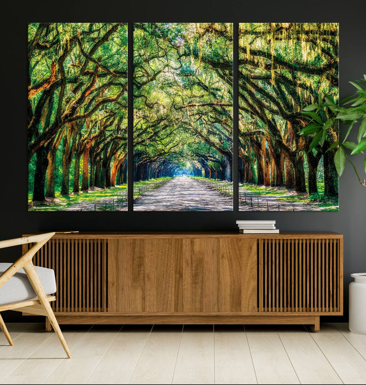 Wormsloe State Trees Driveway Wall Art Canvas Print