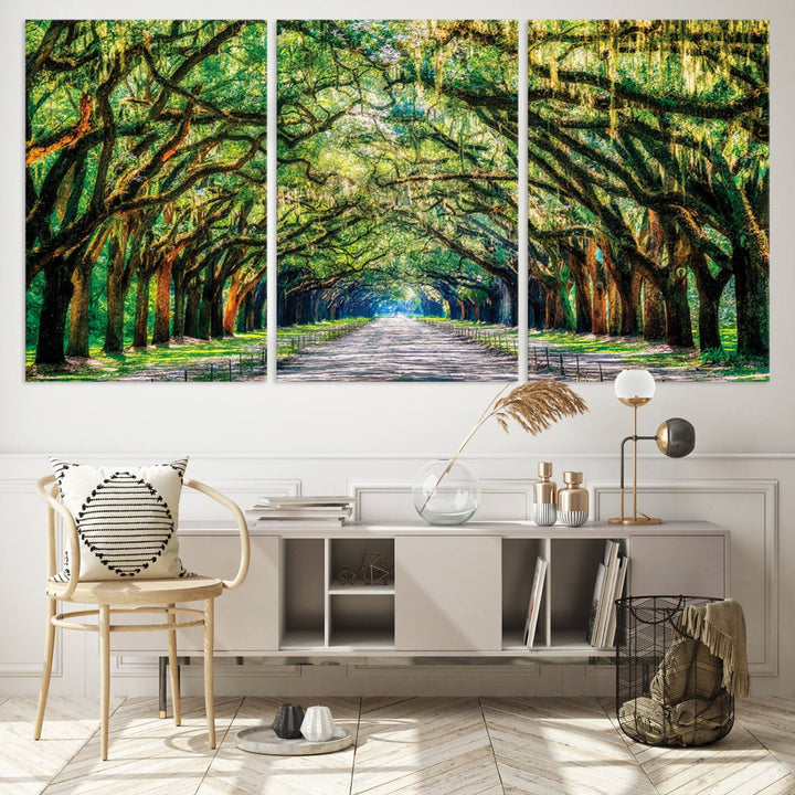 Wormsloe State Trees Driveway Wall Art Canvas Print