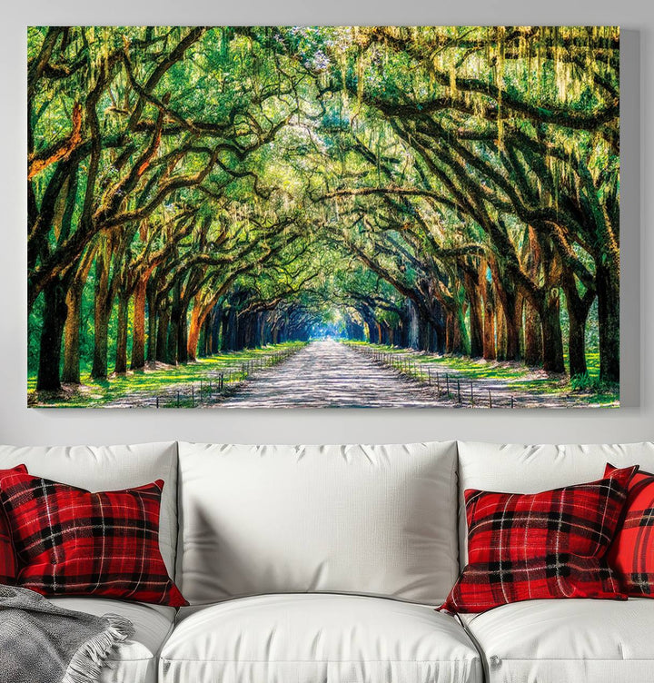 Wormsloe State Trees Driveway Wall Art Canvas Print