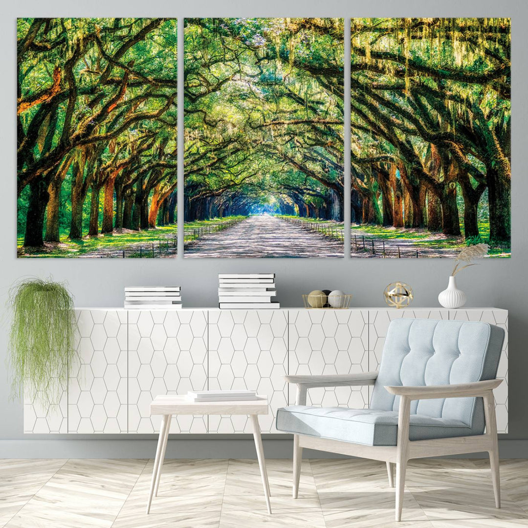 Wormsloe State Trees Driveway Wall Art Canvas Print