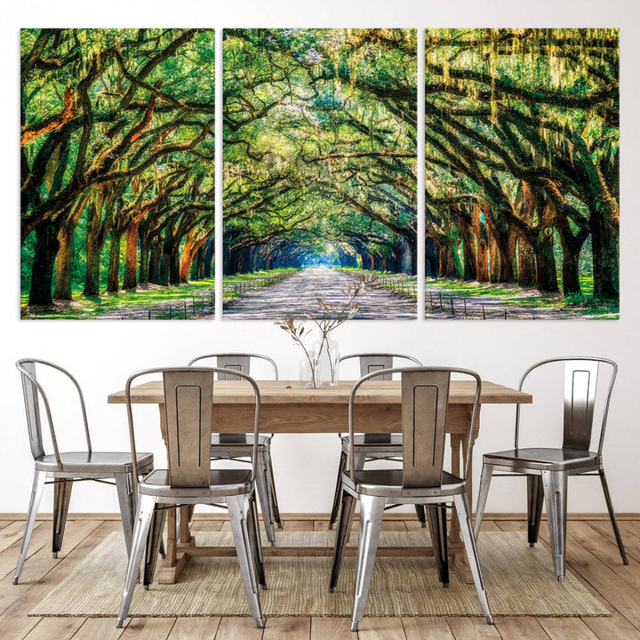 Wormsloe State Trees Driveway Wall Art Canvas Print