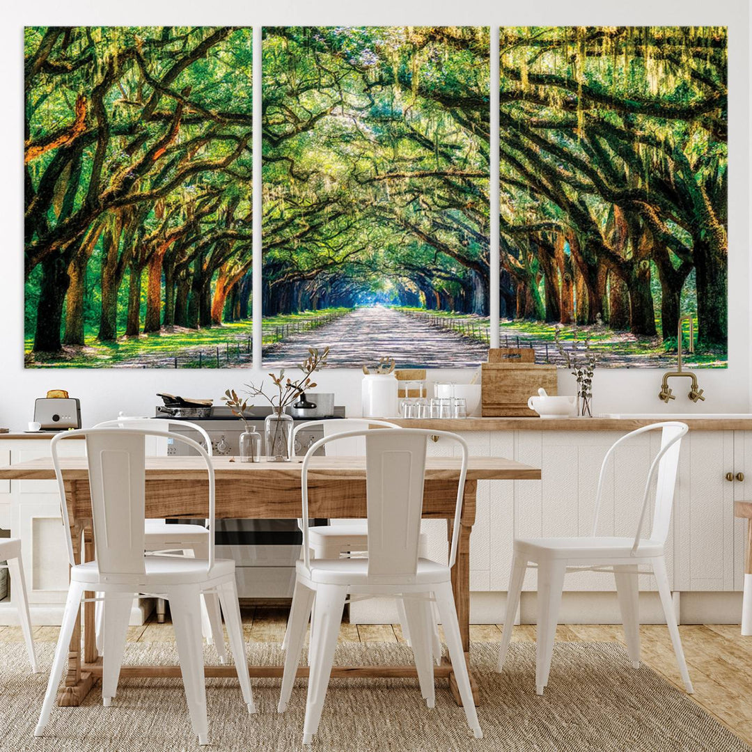 Wormsloe State Trees Driveway Wall Art Canvas Print