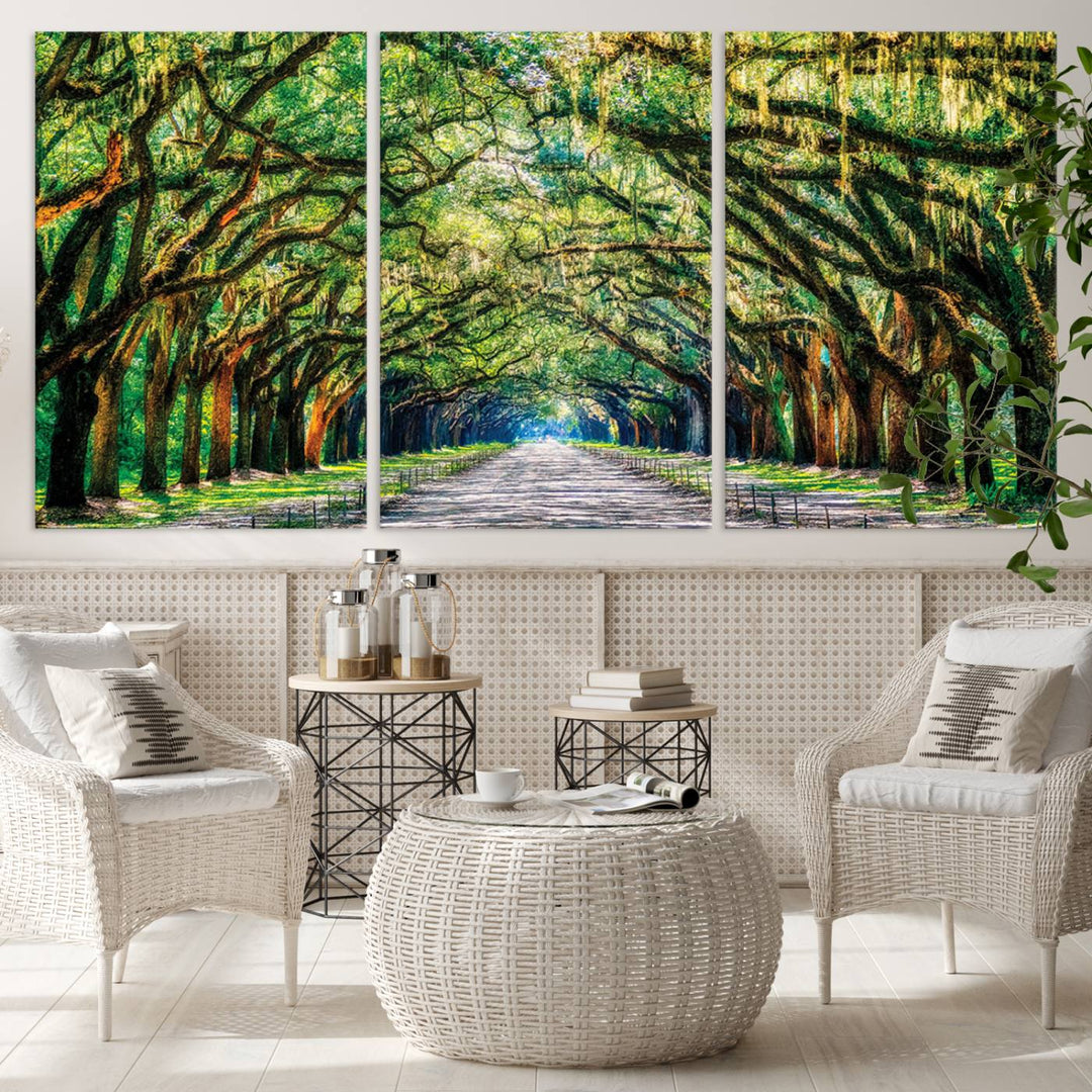 Wormsloe State Trees Driveway Wall Art Canvas Print